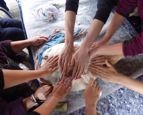 Aktivitäten der Wohnstätte Sonnenhof in Eberswalde - Lebenshilfe Barnim