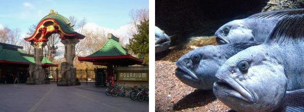 FuBs_I_2018_Zoo-Berlin_2