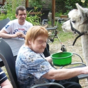 Eine Bewohnerin des "Damhirsch" sitzt in einem Gartenstuhl. In der linken Hand hält sie eine grüne Futterschüssel. Mit rechts streichelt sie Karuso.