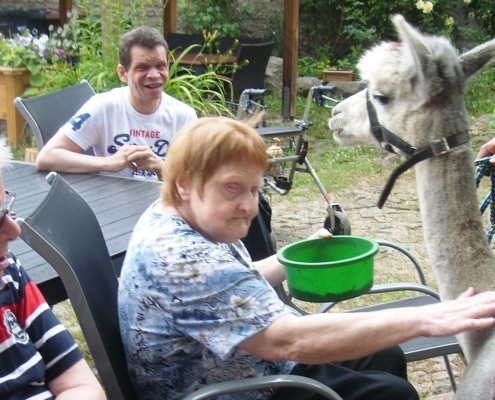 Eine Bewohnerin des "Damhirsch" sitzt in einem Gartenstuhl. In der linken Hand hält sie eine grüne Futterschüssel. Mit rechts streichelt sie Karuso.