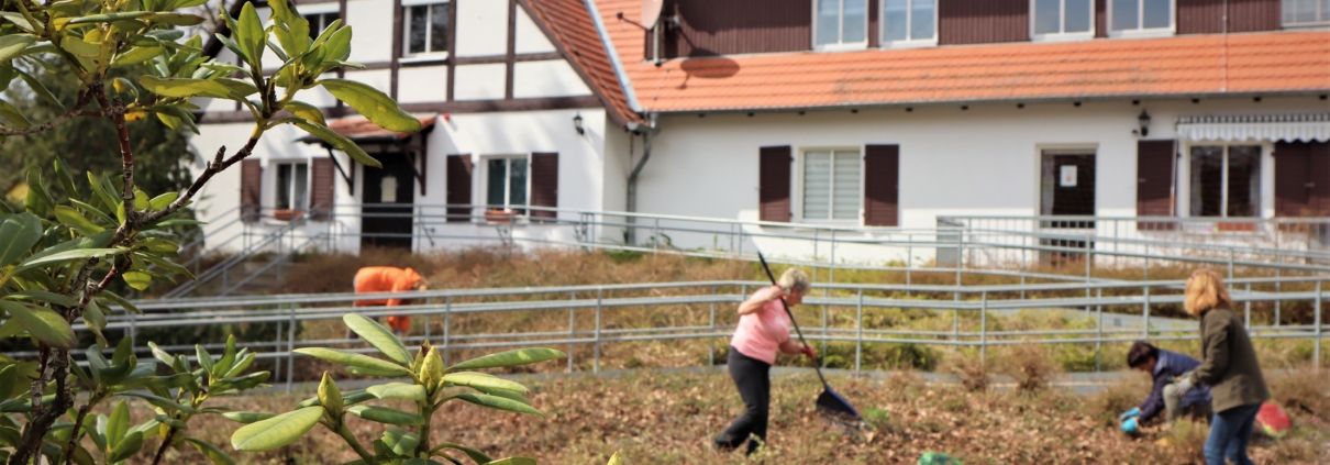 Links und rechts vom Geländer einer Rampe zum Wohnhaus säubern eine bzw. drei Frauen die angrenzende Böschung mit Laubbesen und per Hand. Im Hintergrund ist das Wohnhaus mit Fachwerkgiebel zu sehen.