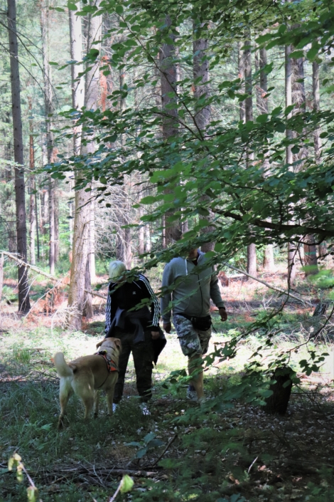 Mantrailing – Geruch aufnehmen