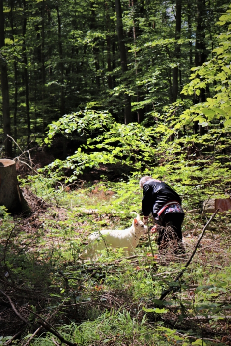 Mantrailing – Ziel der Suche gefunden