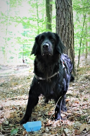 Warten auf das nächste Kommando