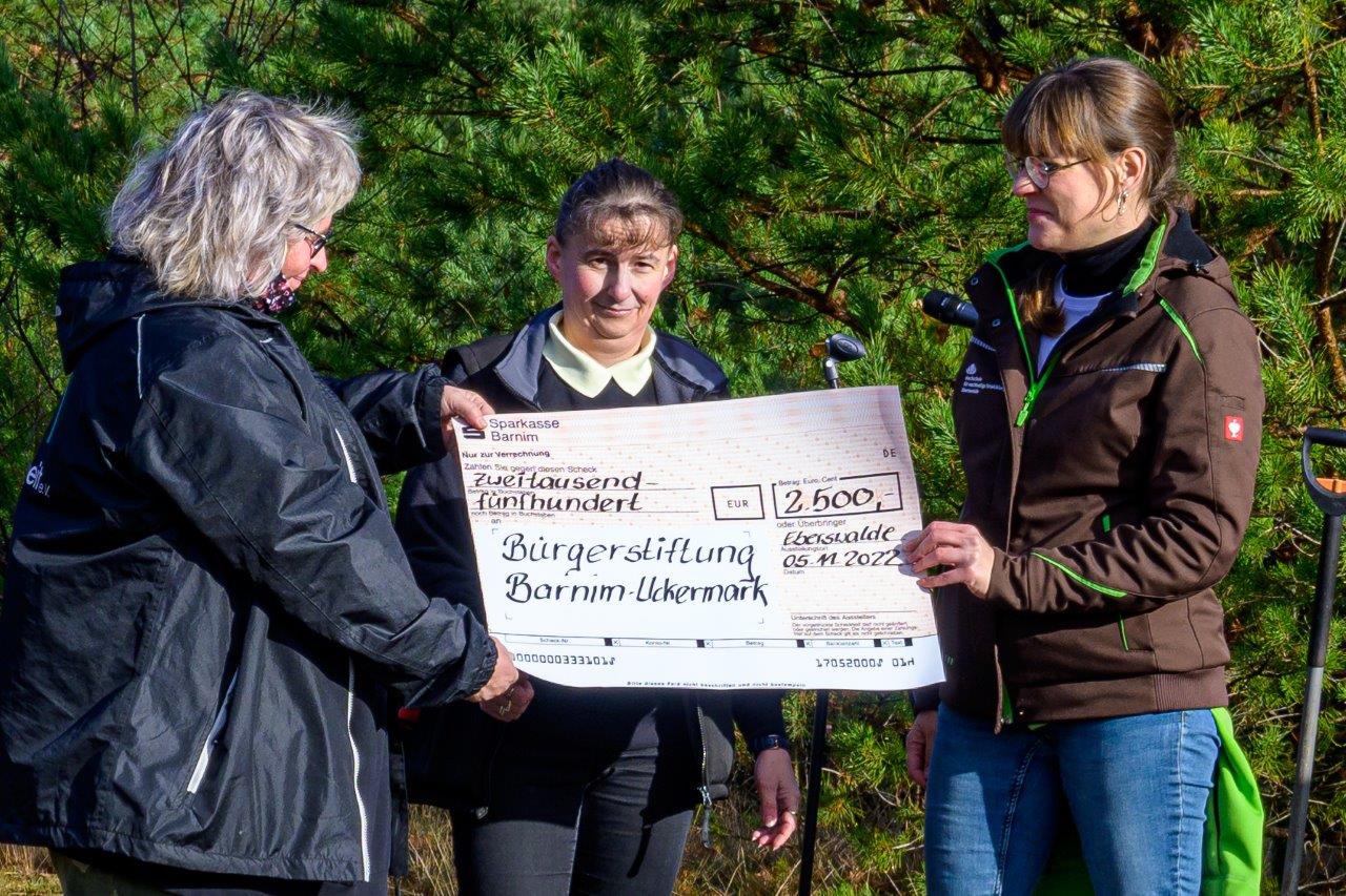 113DSC_4153_matena-moments_hoffi